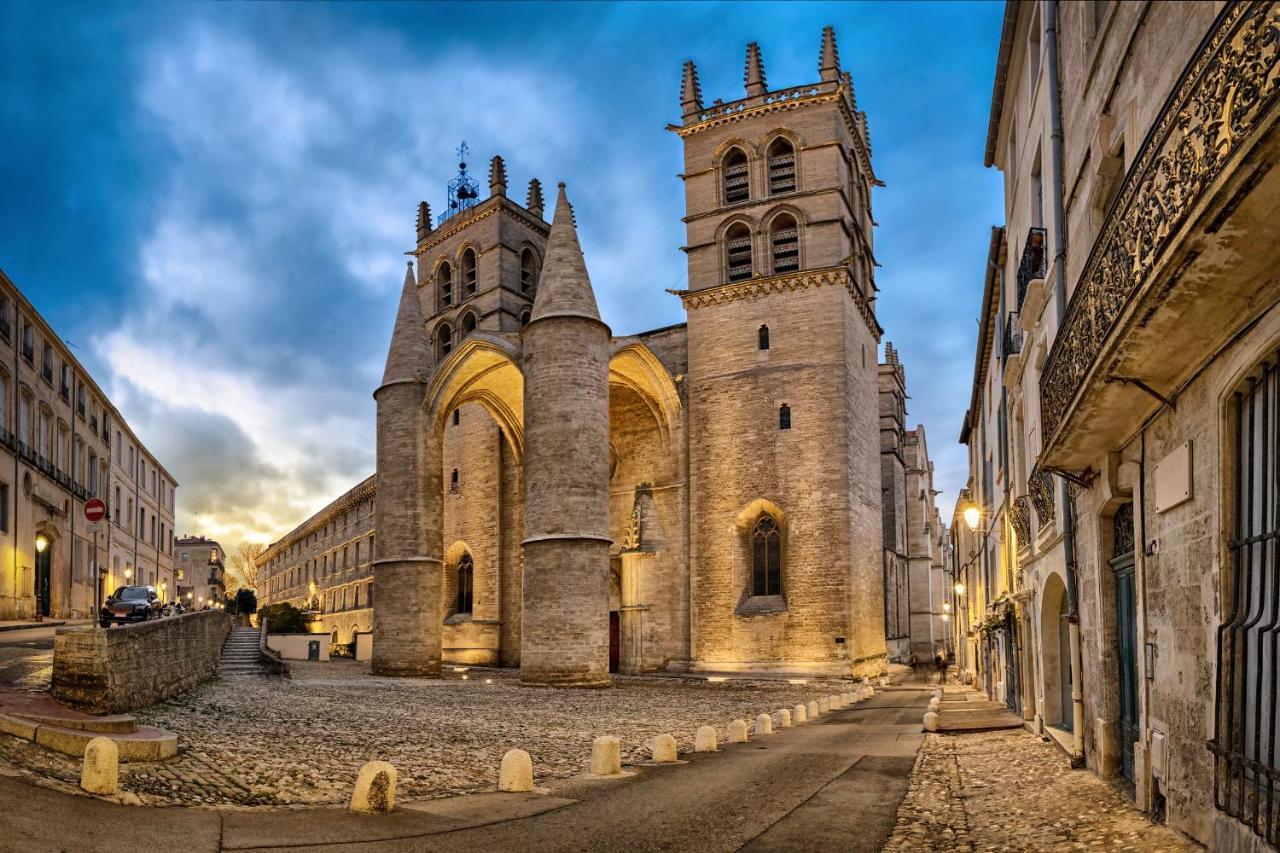 Perle Bleue - Charme & Serenite Hyper-Centre Montpellier Exterior photo